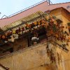 dsc00056 - kopie - kopie
